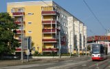 0031 170814Halberstadt-145