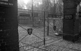Betriebshof Seebener Straße 1986
