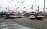 Köln