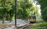 080821Schoeneiche 001