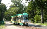 100820Schoeneiche 008