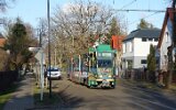 Kirschenstraße 2022