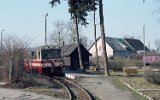 Stegna (Steegen) am 04. April 1994