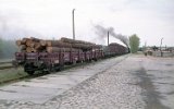 Świętno 1994