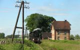 Tłoki 2005