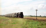 Grodzisk-Granowo 1996