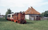 Dzierzbin 2000