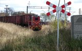 Opatwek 2007