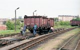 Gniezno 1991