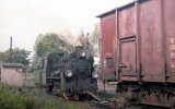 Witkowo 1992