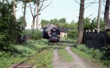 Witkowo 1993