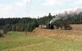 Powidz 1999