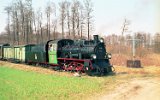 Powidz 1999