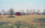 Piaseczysko-Grjecka KD 1999