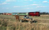 Piaseczysko-Grjecka KD 1999