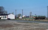 Cetty (Kroniewice-Boniewo-Jerzmanowo 1999)