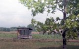 Graj (Boniewo-Sompolno 1999)