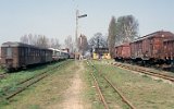 Trzcianka Zachodnia 1991