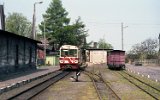 Lwwek Wskotorowy 1993
