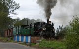 061007Robaczyn 007