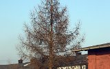 060110SKD 055