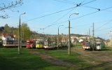 Straenbahn Gorzw Wlkp. (Landsberg a. d. Warthe) 