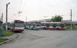 Berliet-Obusse 32 und 35 aus Lyon im Depot Dâmbovița 1999.