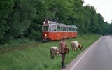 Überlandlinie von Sibiu nach Rășinari 1998.