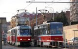Zenklova 2007