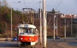 Zenklova 2007